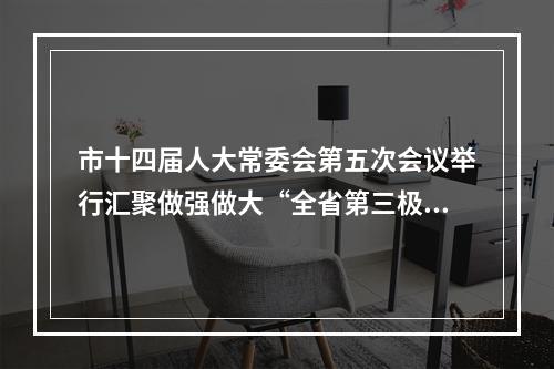 市十四届人大常委会第五次会议举行汇聚做强做大“全省第三极”强大合力