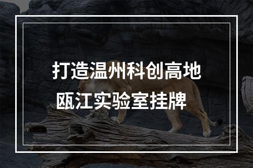 打造温州科创高地 瓯江实验室挂牌