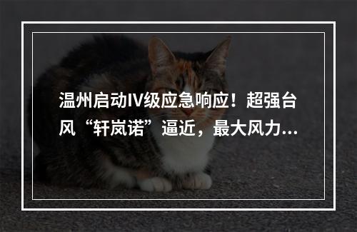 温州启动IV级应急响应！超强台风“轩岚诺”逼近，最大风力17级以上！还有1 ...