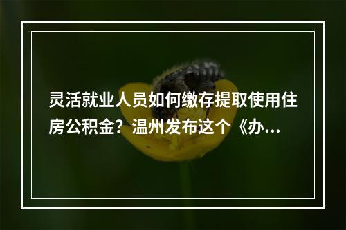 灵活就业人员如何缴存提取使用住房公积金？温州发布这个《办法》