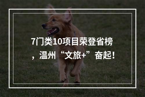 7门类10项目荣登省榜，温州“文旅+”奋起！