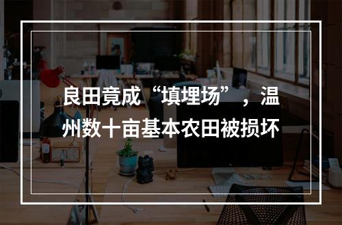 良田竟成“填埋场”，温州数十亩基本农田被损坏