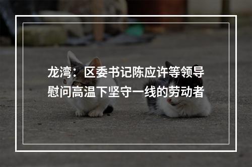 龙湾：区委书记陈应许等领导慰问高温下坚守一线的劳动者
