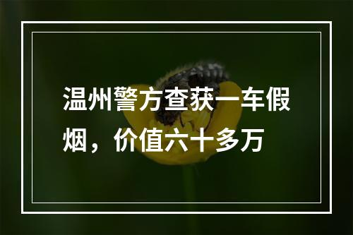 温州警方查获一车假烟，价值六十多万