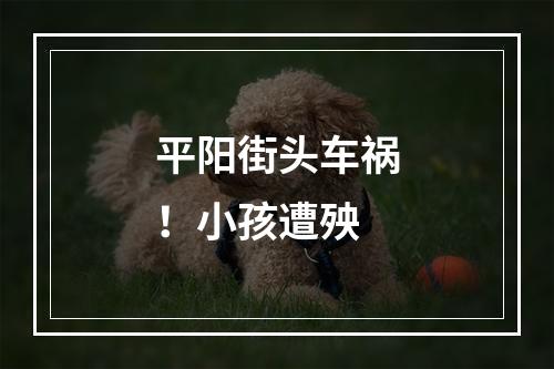 平阳街头车祸！小孩遭殃