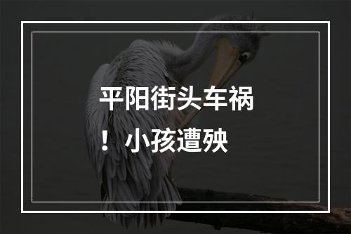 平阳街头车祸！小孩遭殃