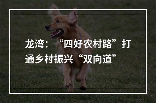 龙湾：“四好农村路”打通乡村振兴“双向道”