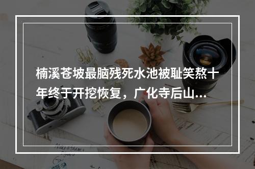 楠溪苍坡最脑残死水池被耻笑熬十年终于开挖恢复，广化寺后山又出幺蛾