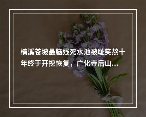楠溪苍坡最脑残死水池被耻笑熬十年终于开挖恢复，广化寺后山又出幺蛾