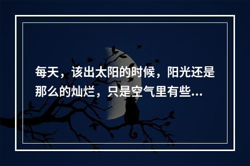 每天，该出太阳的时候，阳光还是那么的灿烂，只是空气里有些涩涩的味道。