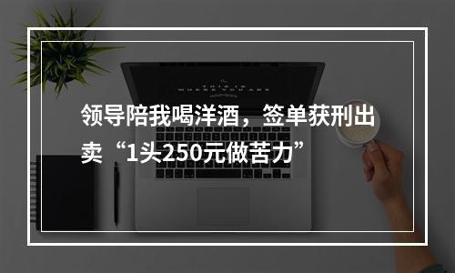 领导陪我喝洋酒，签单获刑出卖“1头250元做苦力”