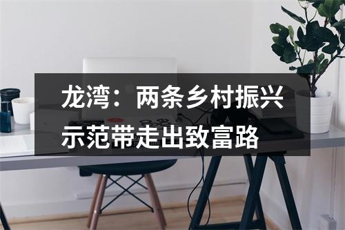 龙湾：两条乡村振兴示范带走出致富路