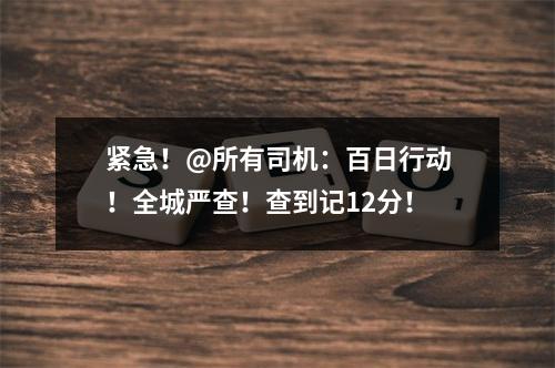 紧急！@所有司机：百日行动！全城严查！查到记12分！