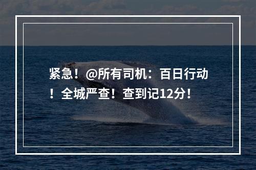 紧急！@所有司机：百日行动！全城严查！查到记12分！