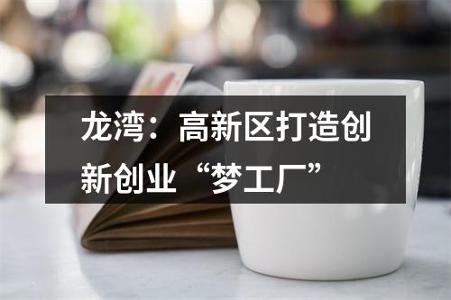 龙湾：高新区打造创新创业“梦工厂”