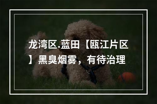 龙湾区.蓝田【瓯江片区】黑臭烟雾，有待治理