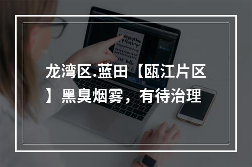 龙湾区.蓝田【瓯江片区】黑臭烟雾，有待治理