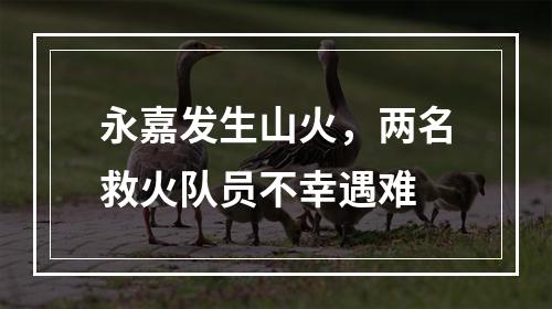 永嘉发生山火，两名救火队员不幸遇难