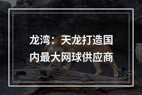 龙湾：天龙打造国内最大网球供应商