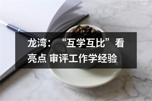 龙湾：“互学互比”看亮点 审评工作学经验