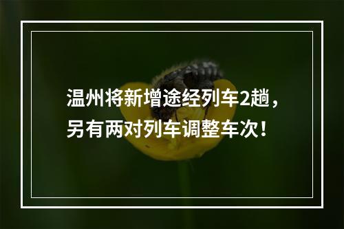 温州将新增途经列车2趟，另有两对列车调整车次！