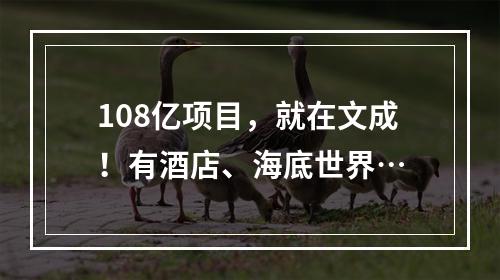 108亿项目，就在文成！有酒店、海底世界…