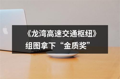 《龙湾高速交通枢纽》 组图拿下“金质奖”