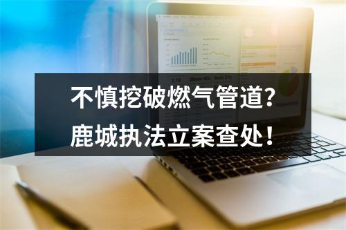 不慎挖破燃气管道？鹿城执法立案查处！