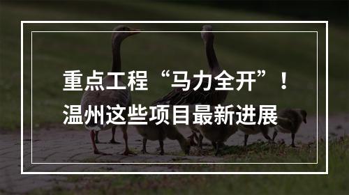 重点工程“马力全开”！温州这些项目最新进展