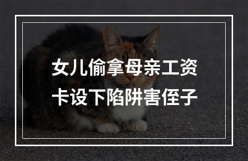 女儿偷拿母亲工资卡设下陷阱害侄子