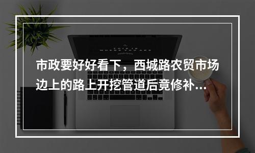 市政要好好看下，西城路农贸市场边上的路上开挖管道后竟修补成这样