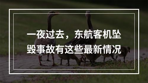 一夜过去，东航客机坠毁事故有这些最新情况