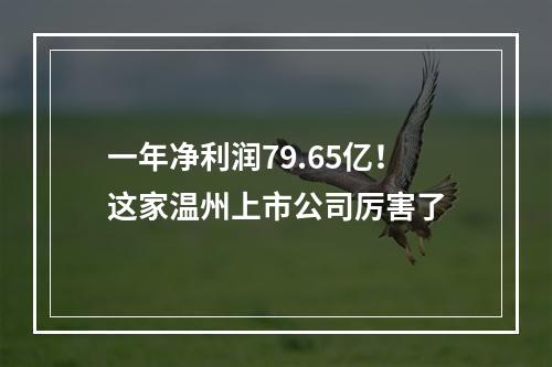 一年净利润79.65亿！这家温州上市公司厉害了