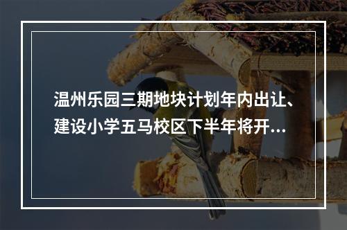 温州乐园三期地块计划年内出让、建设小学五马校区下半年将开工…