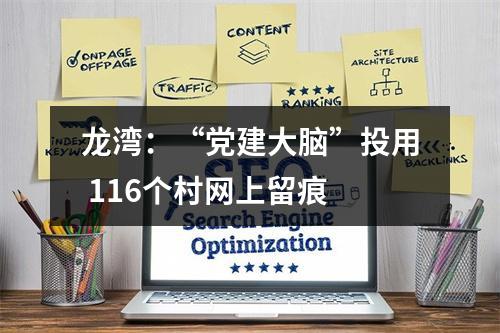 龙湾：“党建大脑”投用 116个村网上留痕