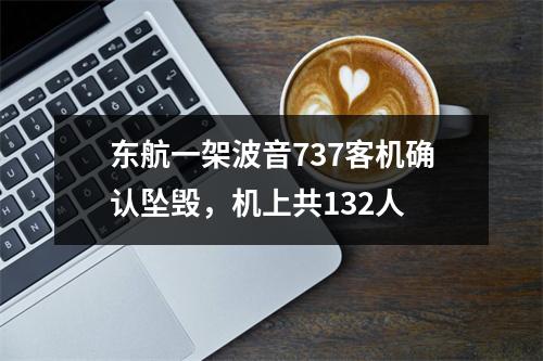 东航一架波音737客机确认坠毁，机上共132人