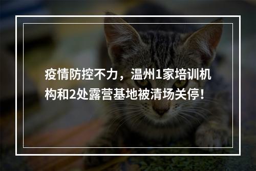 疫情防控不力，温州1家培训机构和2处露营基地被清场关停！