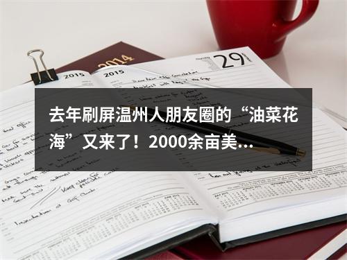 去年刷屏温州人朋友圈的“油菜花海”又来了！2000余亩美到爆