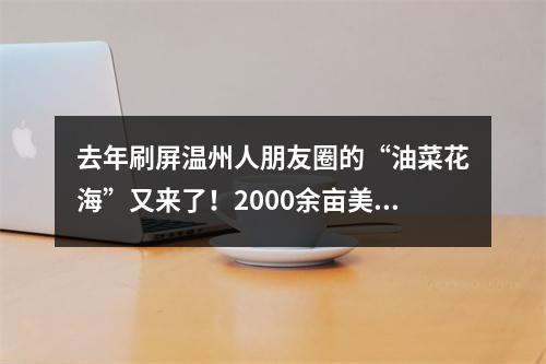 去年刷屏温州人朋友圈的“油菜花海”又来了！2000余亩美到爆