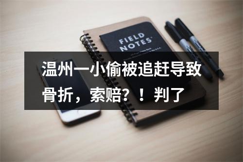 温州一小偷被追赶导致骨折，索赔？！判了