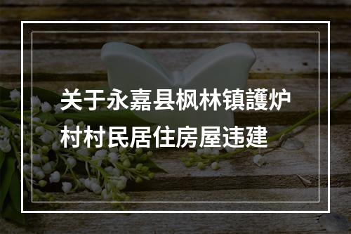 关于永嘉县枫林镇護炉村村民居住房屋违建