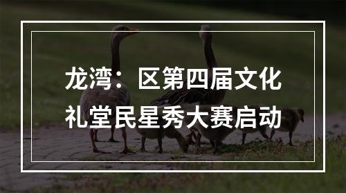 龙湾：区第四届文化礼堂民星秀大赛启动