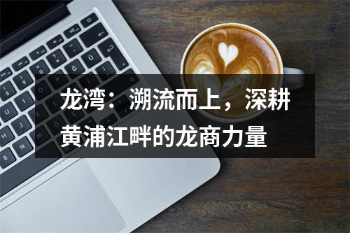 龙湾：溯流而上，深耕黄浦江畔的龙商力量