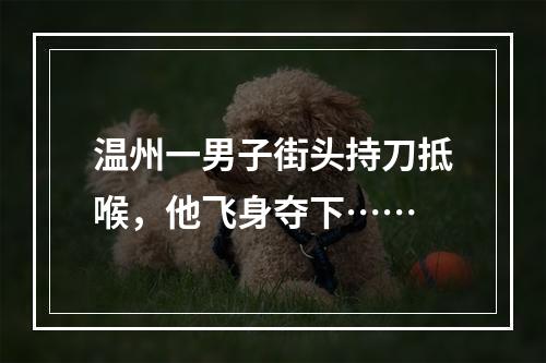温州一男子街头持刀抵喉，他飞身夺下……