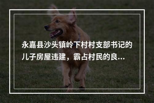 永嘉县沙头镇岭下村村支部书记的儿子房屋违建，霸占村民的良田。