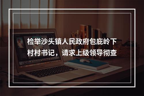 检举沙头镇人民政府包庇岭下村村书记，请求上级领导彻查