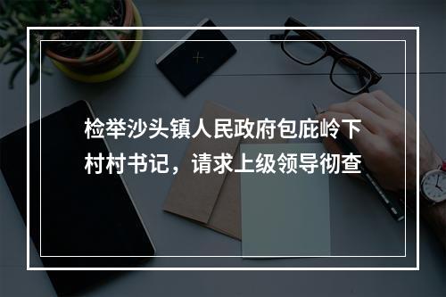 检举沙头镇人民政府包庇岭下村村书记，请求上级领导彻查
