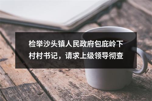 检举沙头镇人民政府包庇岭下村村书记，请求上级领导彻查