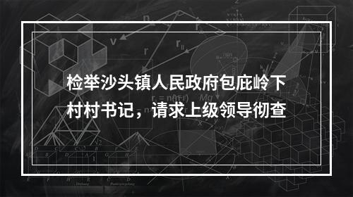 检举沙头镇人民政府包庇岭下村村书记，请求上级领导彻查