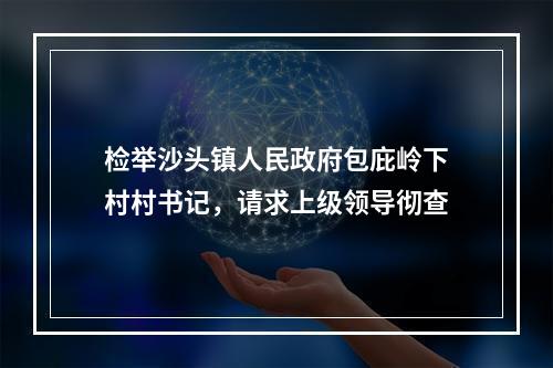 检举沙头镇人民政府包庇岭下村村书记，请求上级领导彻查